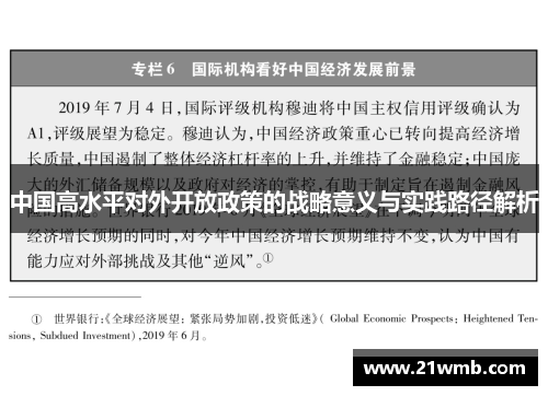 中国高水平对外开放政策的战略意义与实践路径解析
