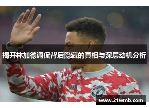 揭开林加德调侃背后隐藏的真相与深层动机分析